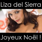 Liza vous souhaite un Joyeux Noël !